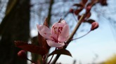 Urheber der Abbildung: dkamera.de