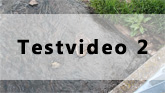 Beispielvideo zur Samsung Galaxy S III