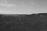 Urheber der Abbildung: dkamera.de