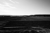Urheber der Abbildung: dkamera.de