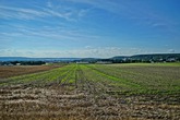 Urheber der Abbildung: dkamera.de