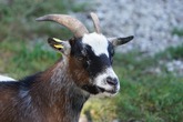 Urheber der Abbildung: dkamera.de