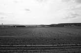 Urheber der Abbildung: dkamera.de