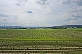 Urheber der Abbildung: dkamera.de