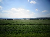 Urheber der Abbildung: dkamera.de