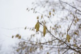 Urheber der Abbildung: dkamera.de