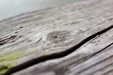 Urheber der Abbildung: dkamera.de
