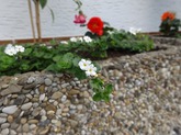 Urheber der Abbildung: dkamera.de
