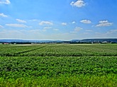 Urheber der Abbildung: dkamera.de